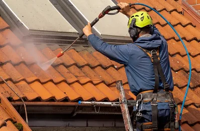Démoussage et hydrofuge de toiture à Lamagistère
